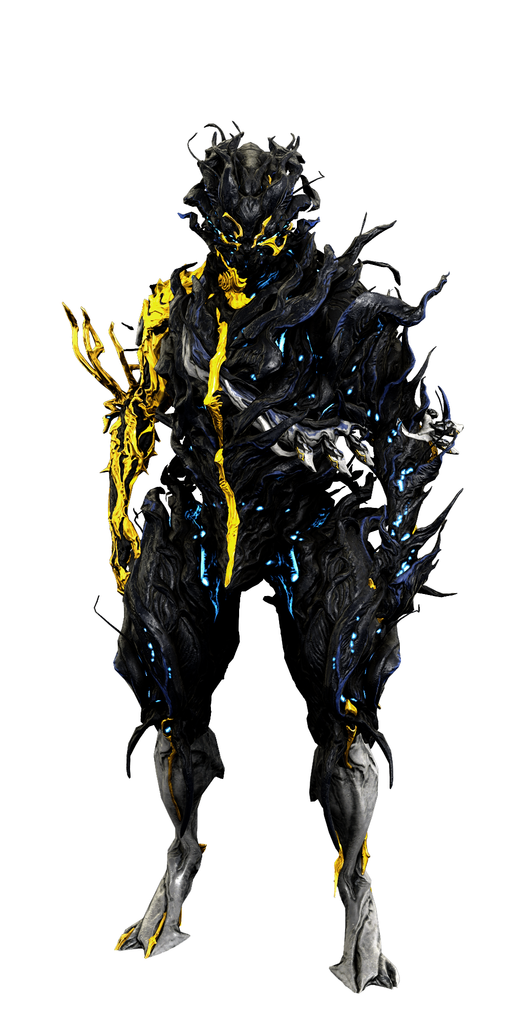 Nidus