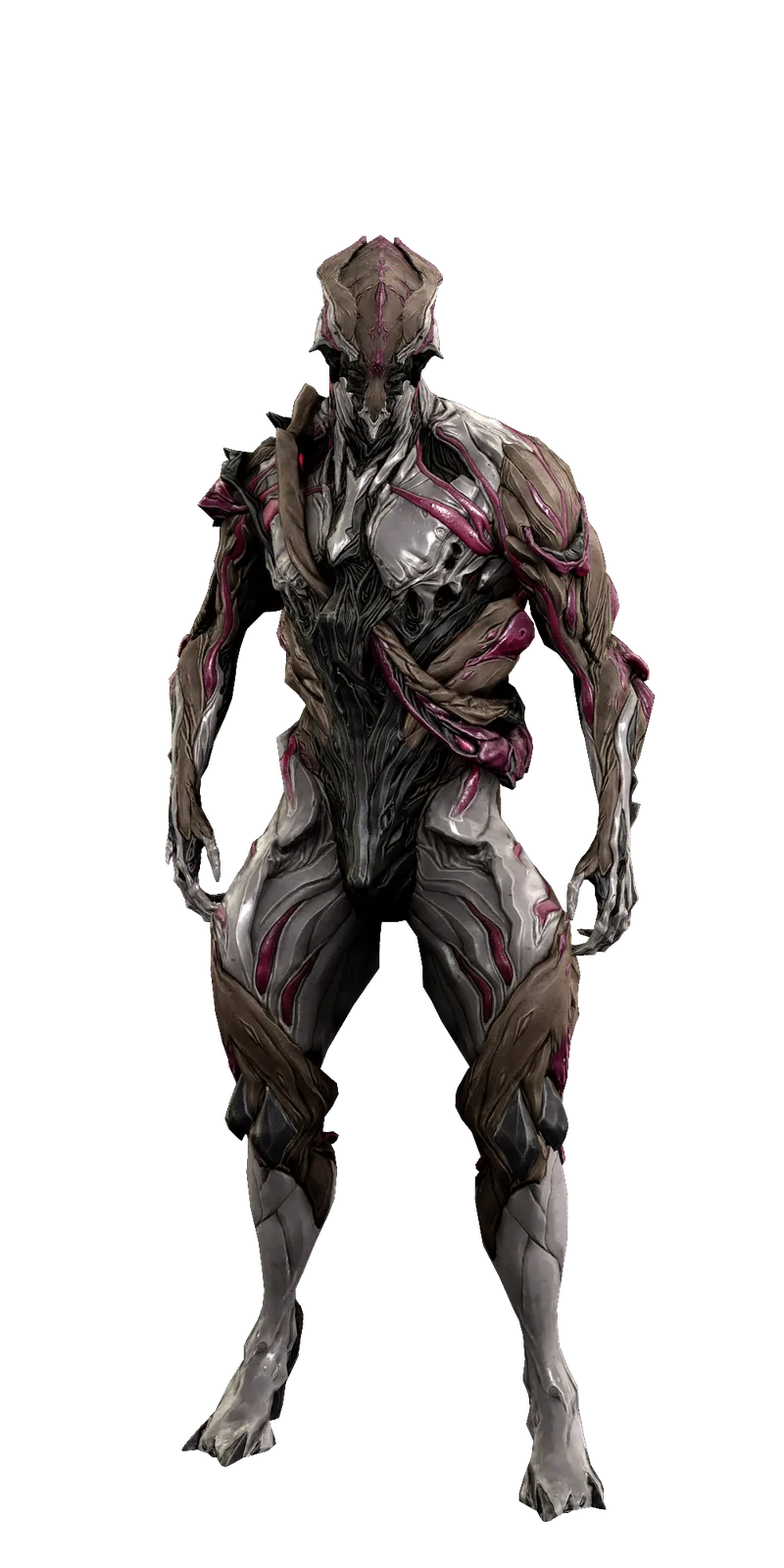Nidus